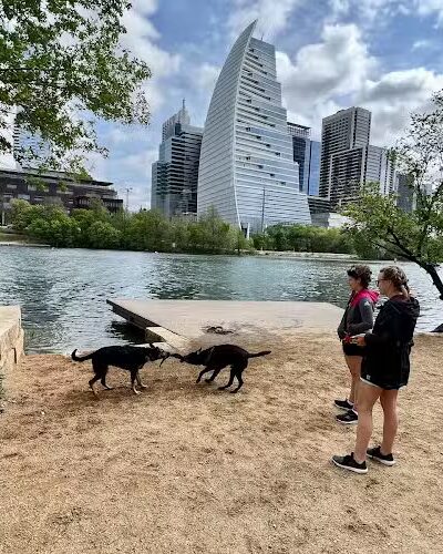 Dog Launch at Vic Mathias Shores - Austin, TX
