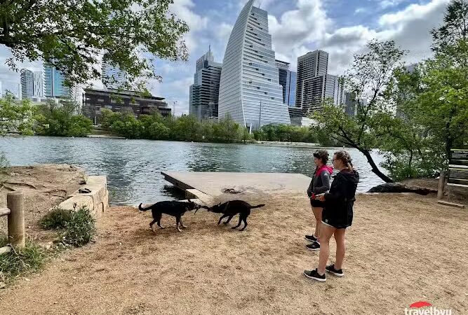 Dog Launch at Vic Mathias Shores - Austin, TX