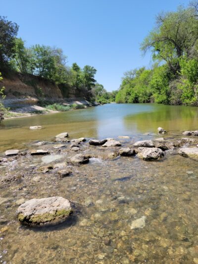 Dog Park Blue - Austin, TX