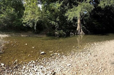 Dog Park Blue - Austin, TX