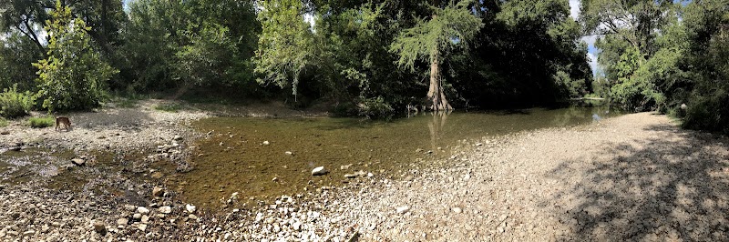 Dog Park Blue - Austin, TX