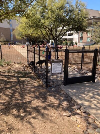 Domain Central Bark - Austin, TX