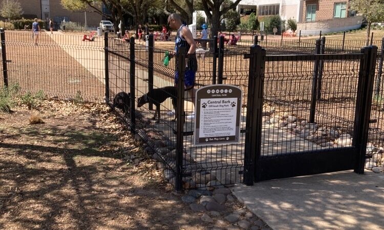 Domain Central Bark - Austin, TX