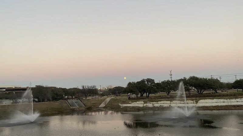 Domain Central Bark - Austin, TX