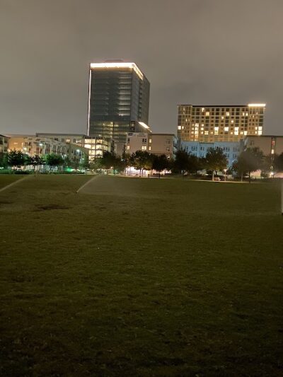 Domain Central Bark - Austin, TX