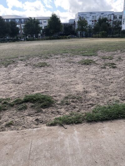 Domain Central Bark - Austin, TX