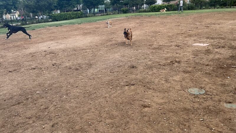 Domain Central Bark - Austin, TX