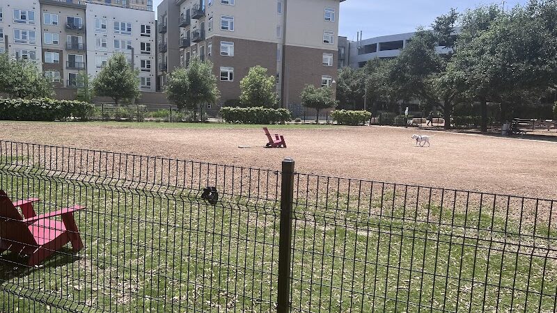 Domain Central Bark - Austin, TX