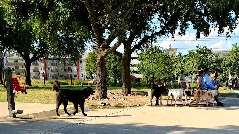 Domain Central Bark - Austin, TX
