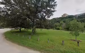 Gaston Green Off-Leash Area - Austin, TX