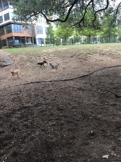Hancock Dog Park - Austin, TX