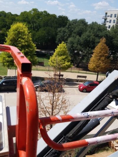 Hancock Dog Park - Austin, TX