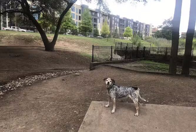 Hancock Dog Park - Austin, TX