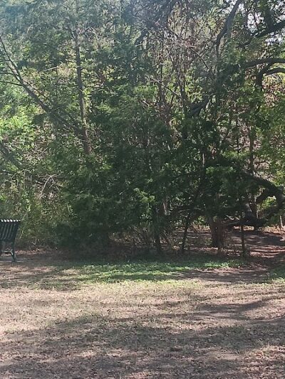 Mary Moore Searight Off Leash Trailhead - Austin, TX