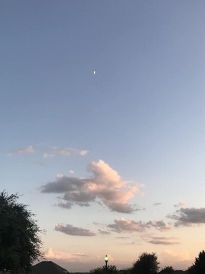Mary Moore Searight Off Leash Trailhead - Austin, TX