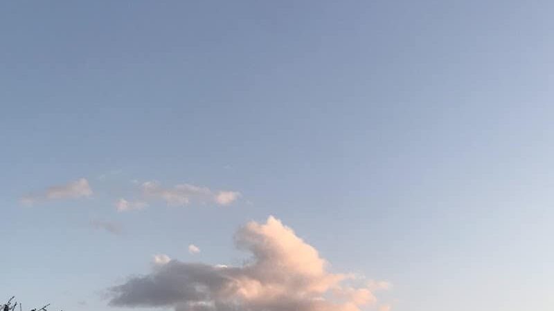 Mary Moore Searight Off Leash Trailhead - Austin, TX