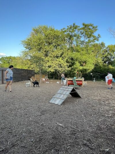 Neighbors Dog Park & Cafe - Austin, TX