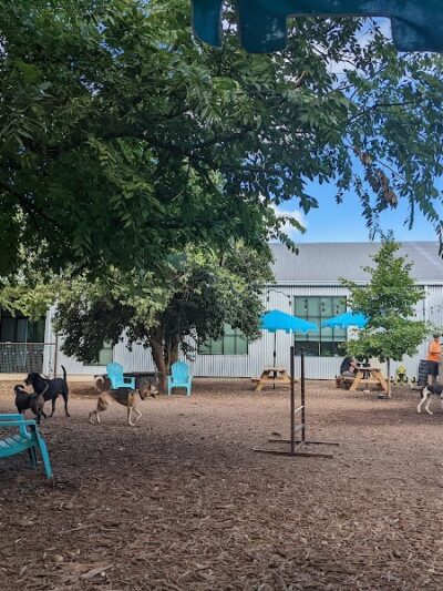 Neighbors Dog Park & Cafe - Austin, TX