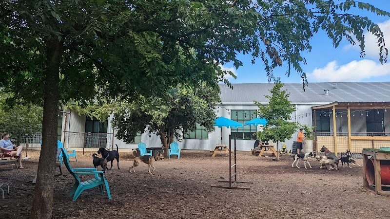 Neighbors Dog Park & Cafe - Austin, TX