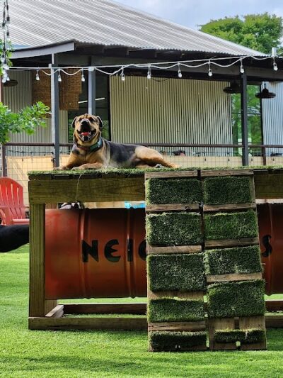 Neighbors Dog Park & Cafe - Austin, TX