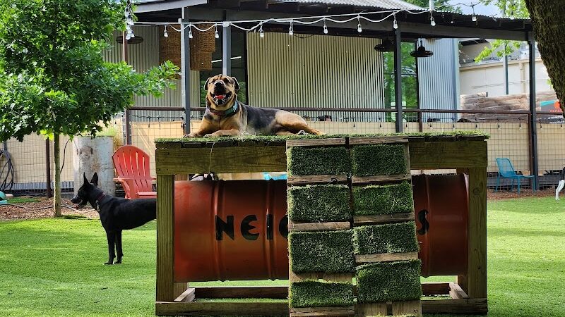 Neighbors Dog Park & Cafe - Austin, TX