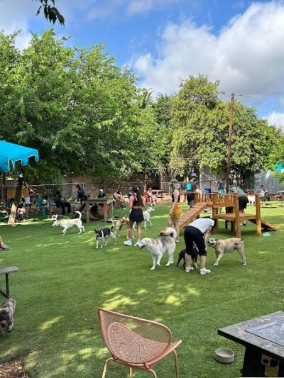 Neighbors Dog Park & Cafe - Austin, TX