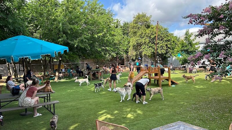 Neighbors Dog Park & Cafe - Austin, TX