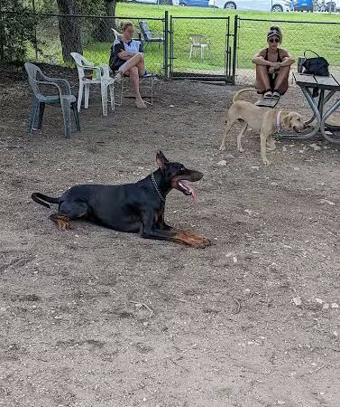 Norwood Estate Dog Park on E. Riverside - Austin, TX