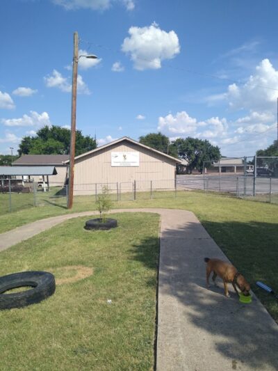 Pickle’s Place Dog Park - Austin, TX