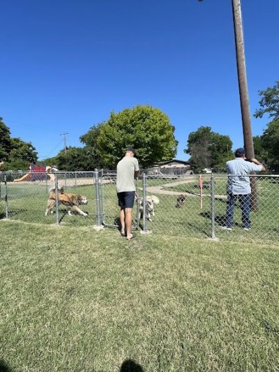 Pickle’s Place Dog Park - Austin, TX