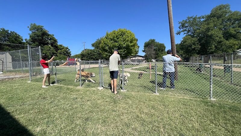Pickle’s Place Dog Park - Austin, TX