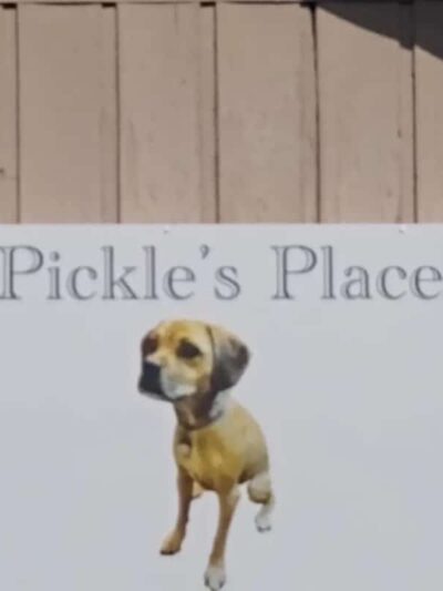 Pickle’s Place Dog Park - Austin, TX