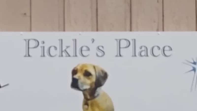 Pickle’s Place Dog Park - Austin, TX