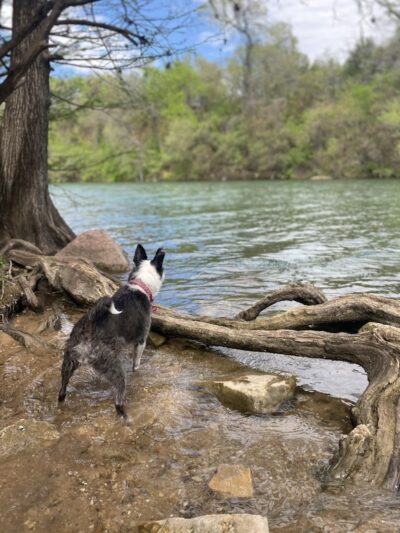Red Bud Isle - Austin, TX