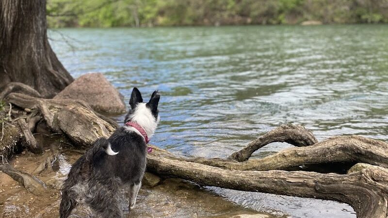 Red Bud Isle - Austin, TX