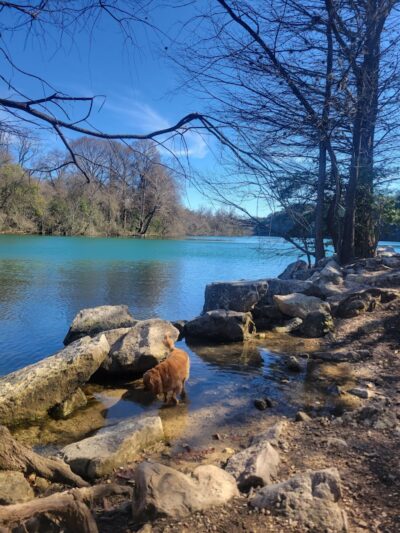 Red Bud Isle - Austin, TX