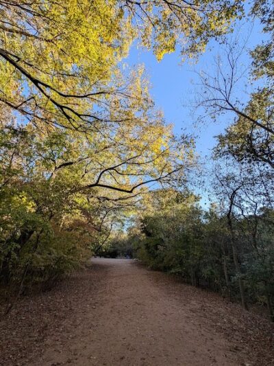Red Bud Isle - Austin, TX