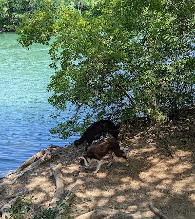 Red Bud Isle - Austin, TX