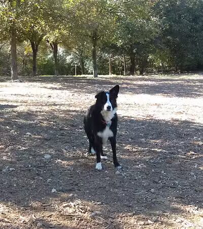 Red Bud Isle - Austin, TX