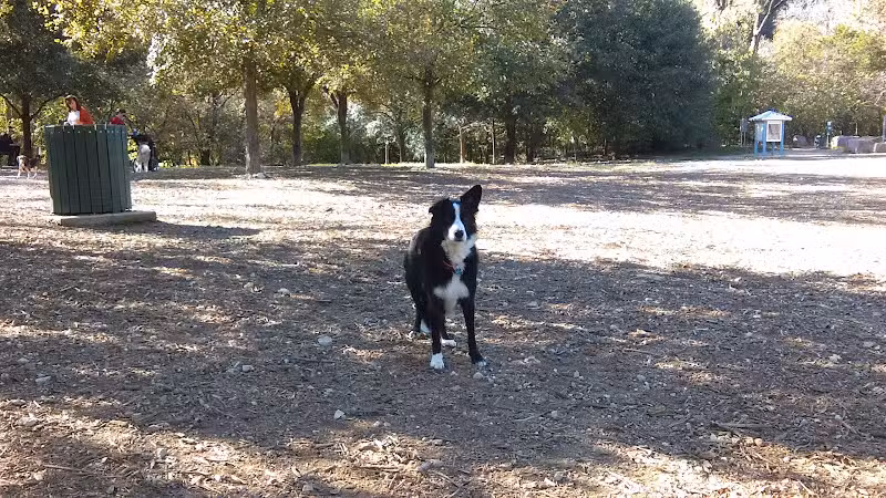 Red Bud Isle - Austin, TX