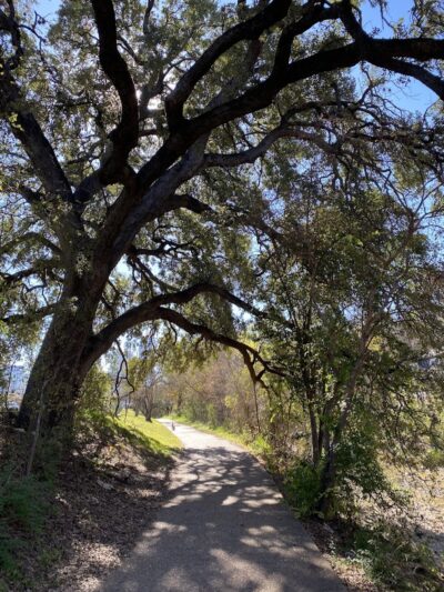Shoal Creek Greenbelt - Austin, TX