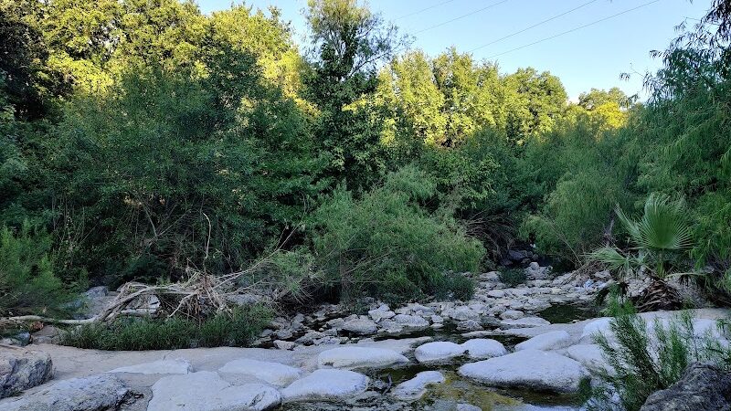 Shoal Creek Greenbelt - Austin, TX