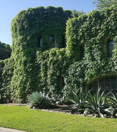 Shoal Creek Greenbelt - Austin, TX