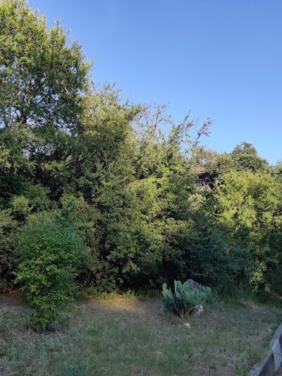 Shoal Creek Greenbelt - Austin, TX