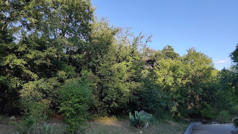 Shoal Creek Greenbelt - Austin, TX
