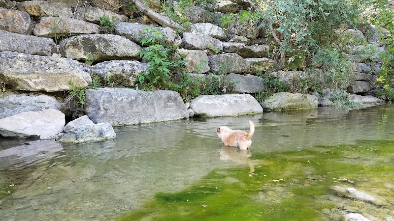 Shoal Creek Greenbelt - Austin, TX