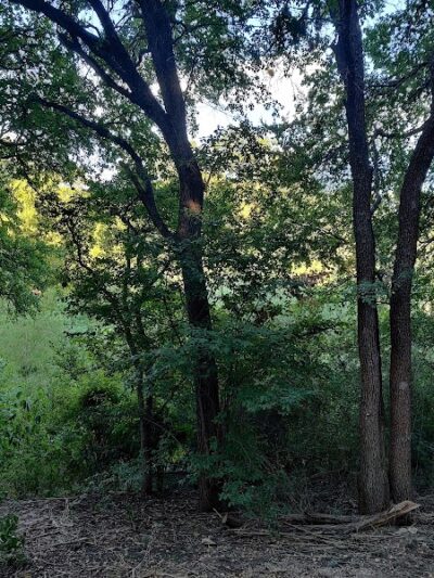 Shoal Creek Greenbelt - Austin, TX