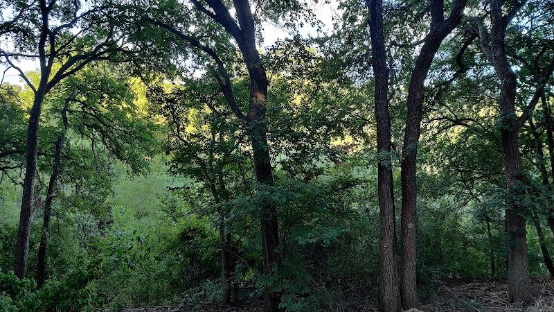 Shoal Creek Greenbelt - Austin, TX