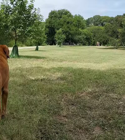 Shoal Creek Greenbelt - Austin, TX