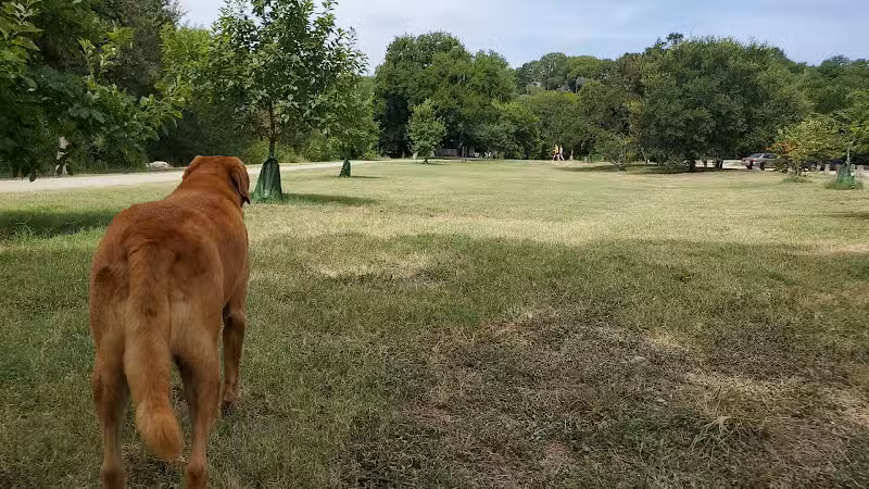 Shoal Creek Greenbelt - Austin, TX
